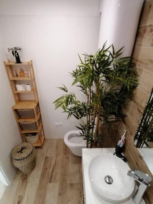 Apartamento Superbe Studio Ethnique Hyères Exterior foto